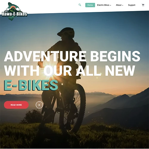 Small Business 5 portfolio hawaebikes
