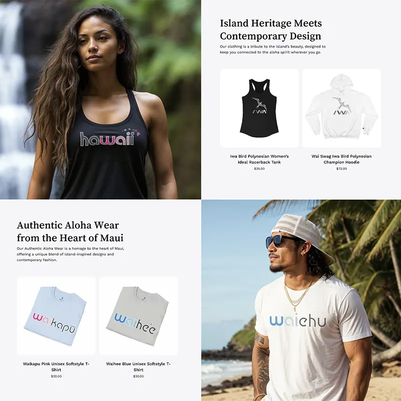 Web Design 2 portfolio waiswag 3