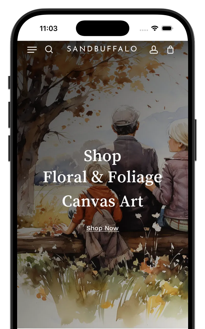 Web Design 1 web design sandbuffalo mockup
